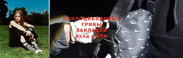 соль ск Алексеевка