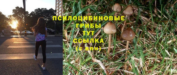 соль ск Алексеевка